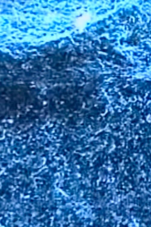 Microscopías poster