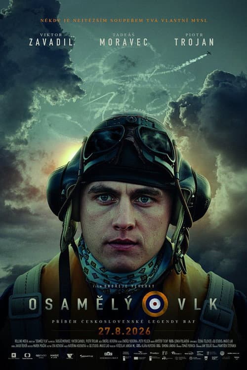 Osamělý vlk poster