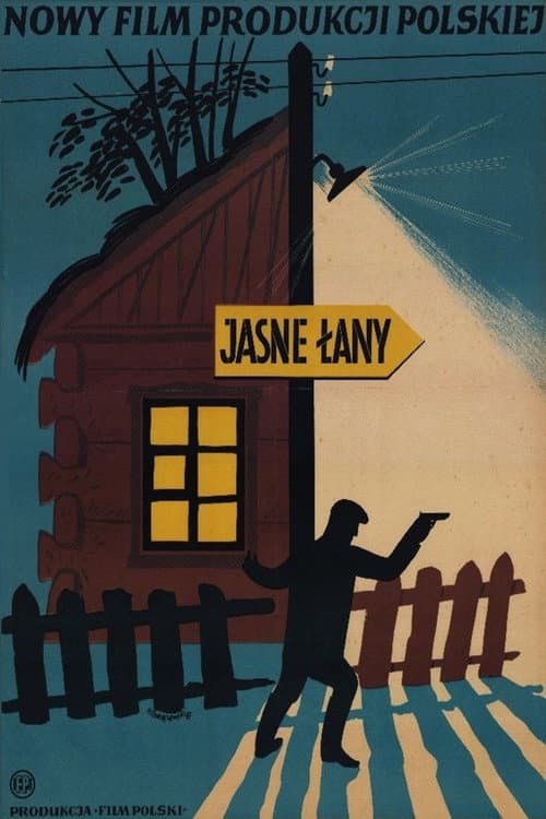 Jasne łany poster