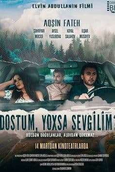 Dostum, yoxsa sevgilim?! poster