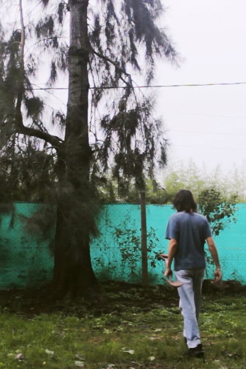 Un Gato Desapareció poster