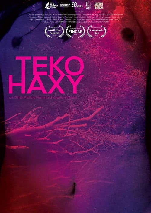 Teko Haxy - ser imperfeita poster
