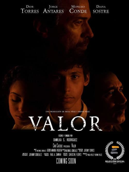 Valor poster