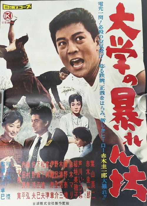 大学の暴れん坊 poster