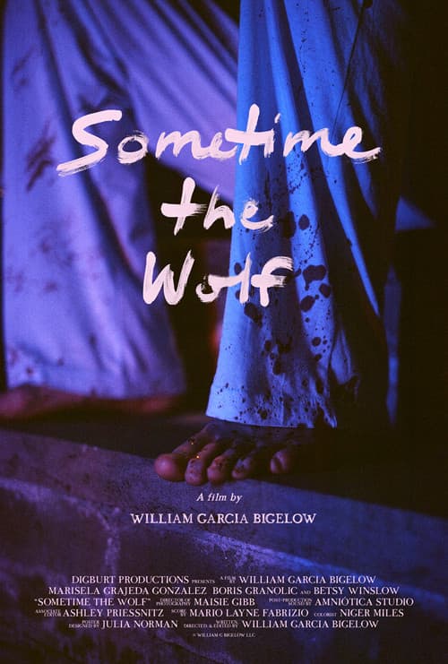 Sometime the Wolf poster