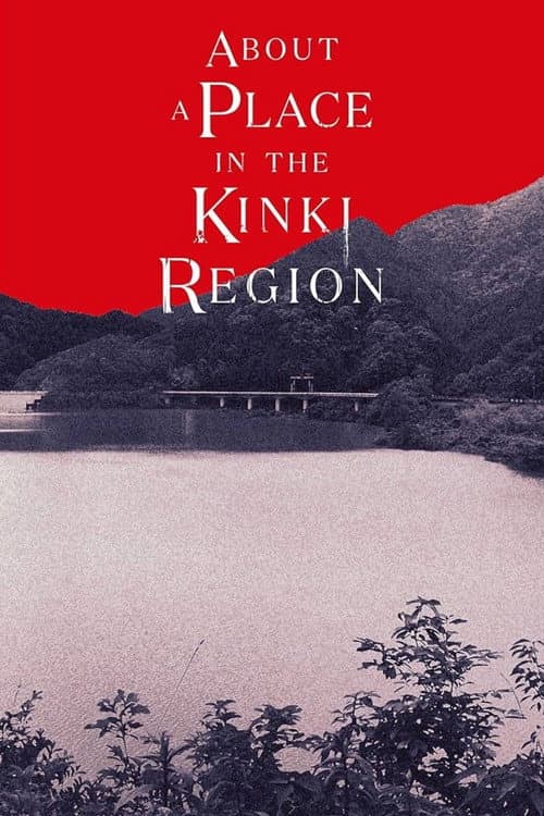 KINKI poster