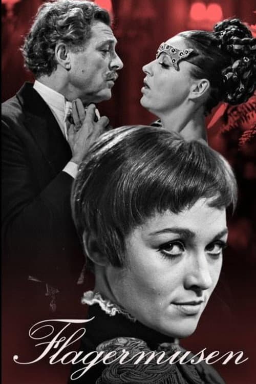 Flagermusen poster
