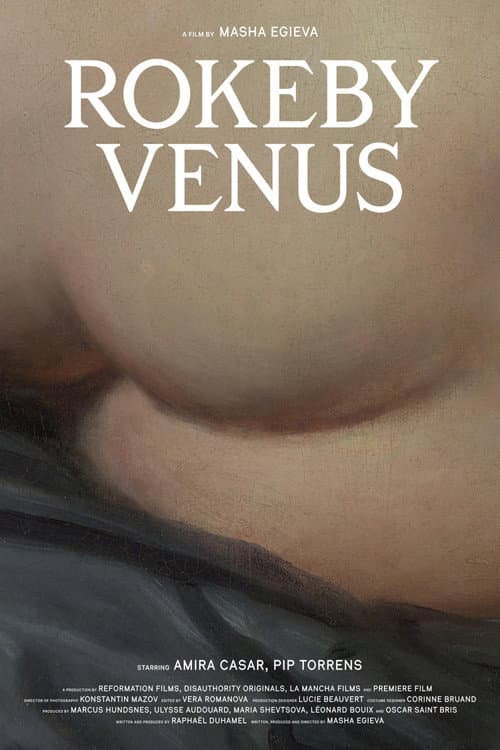 Rokeby Venus poster