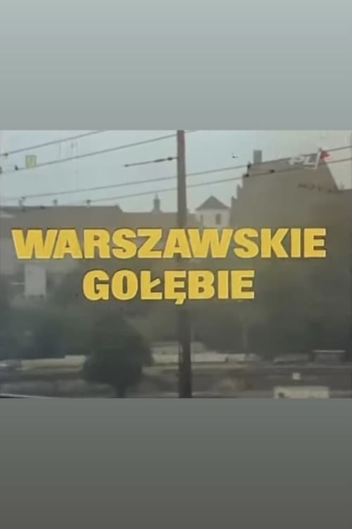 Warszawskie gołębie poster