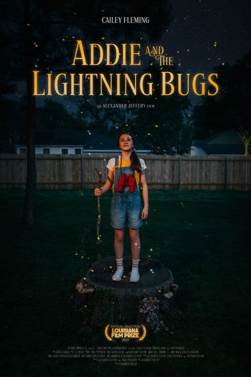 Addie and the Lightning Bugs poster