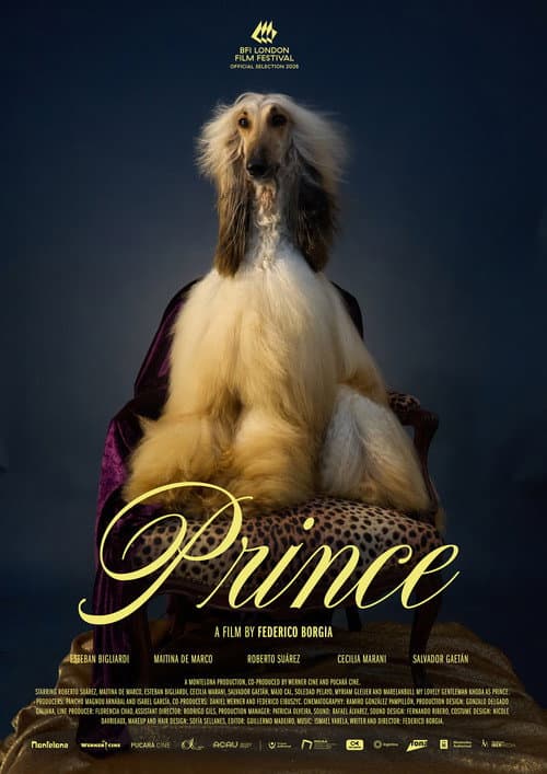 Prince poster