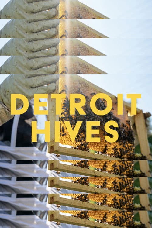 Detroit Hives poster