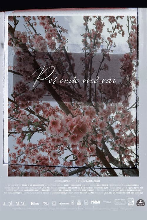 The places you wander poster