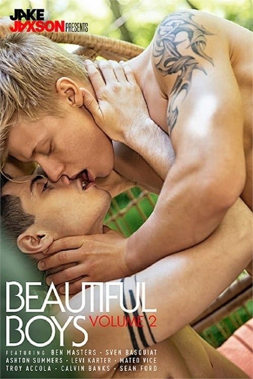 Beautiful Boys 2 poster