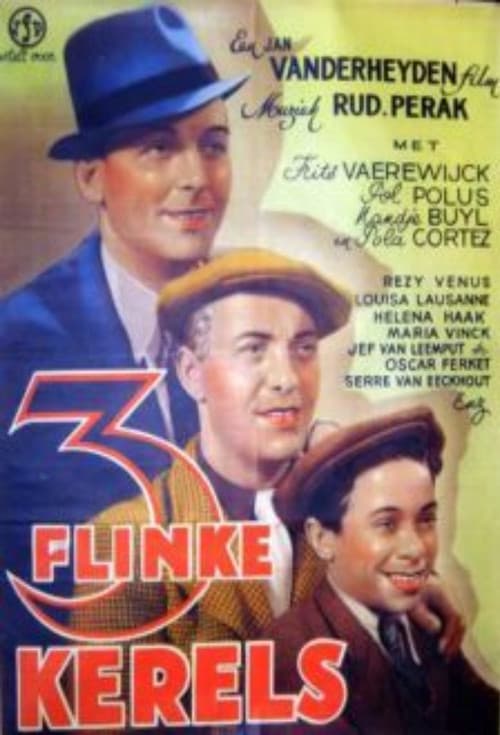 Drie flinke kerels poster