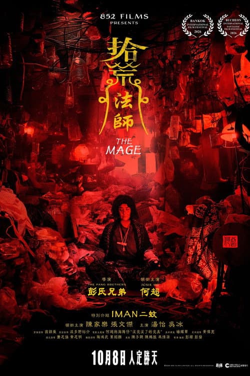The Mage poster