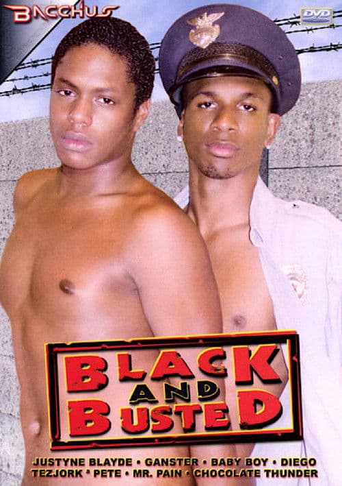 Black And Busted poster