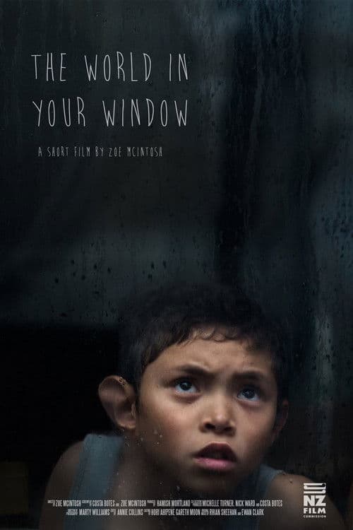 The World In Your Window poster