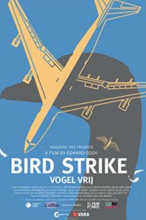 Bird Strike