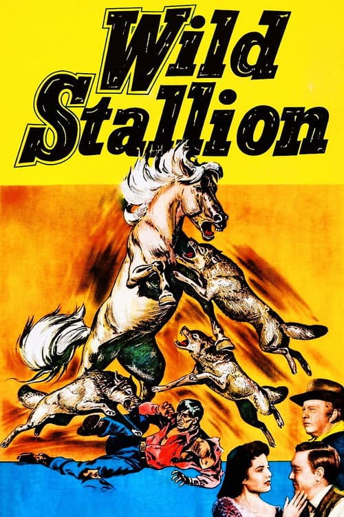 Wild Stallion poster