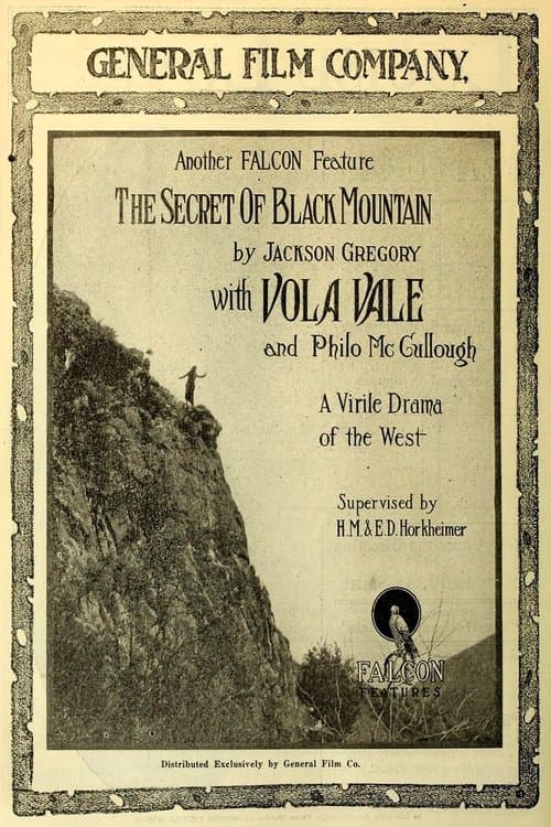 The Secret of Black Mountain poster