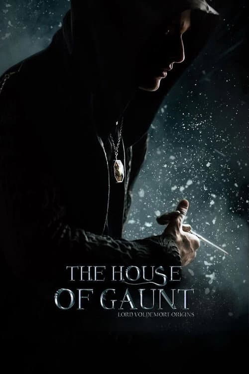 The House of Gaunt poster