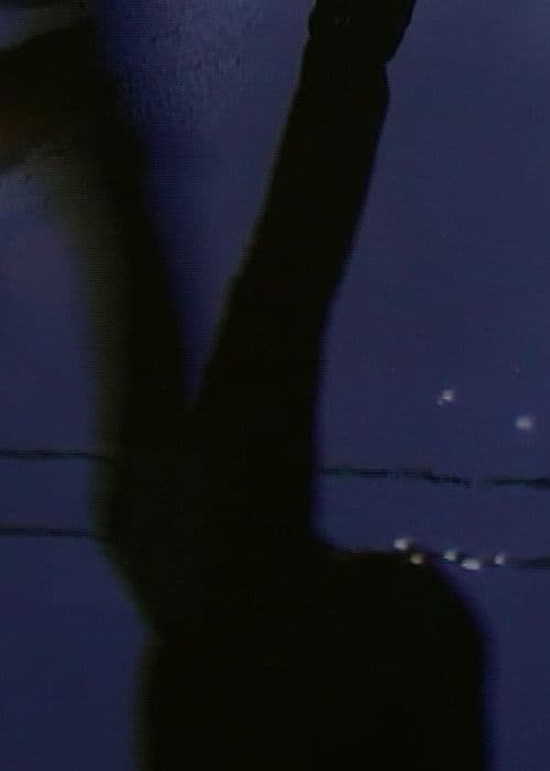 [W I N G S O F L O V E] poster