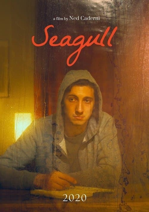 Seagull poster