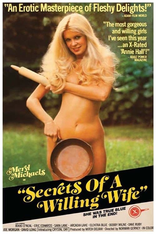 Secrets of a Willing Wife poster