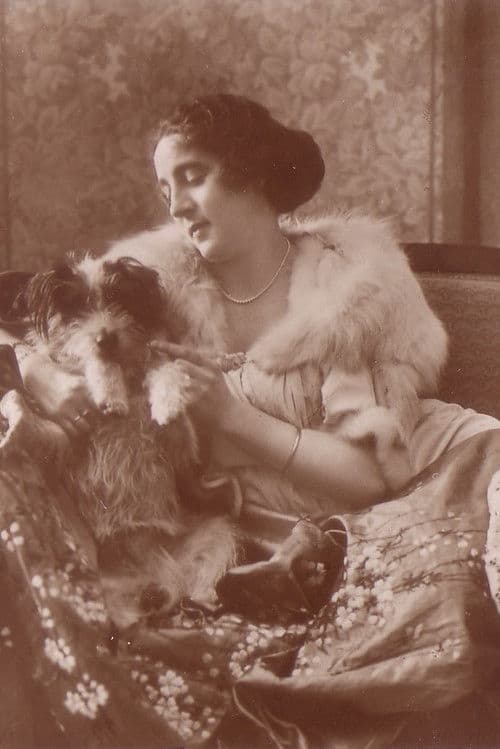 Martha Novelly profile photo