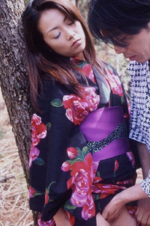 Shufu no Sei: Midara na Yagai Etchi poster