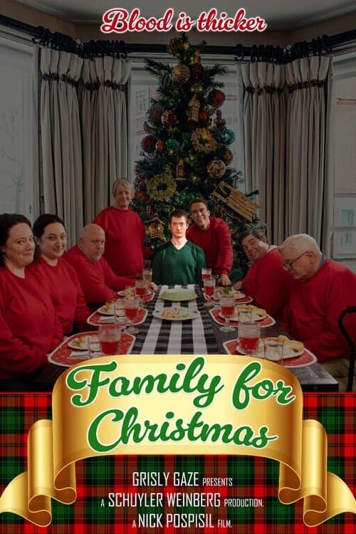 Family for Christmas poster