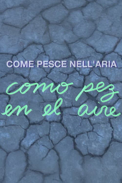 Como pez en el aire poster