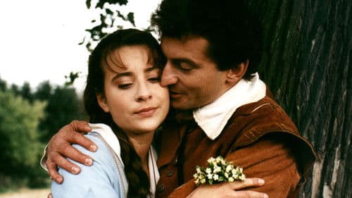 Červený kamínek poster