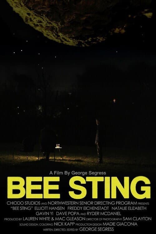 Bee Sting poster