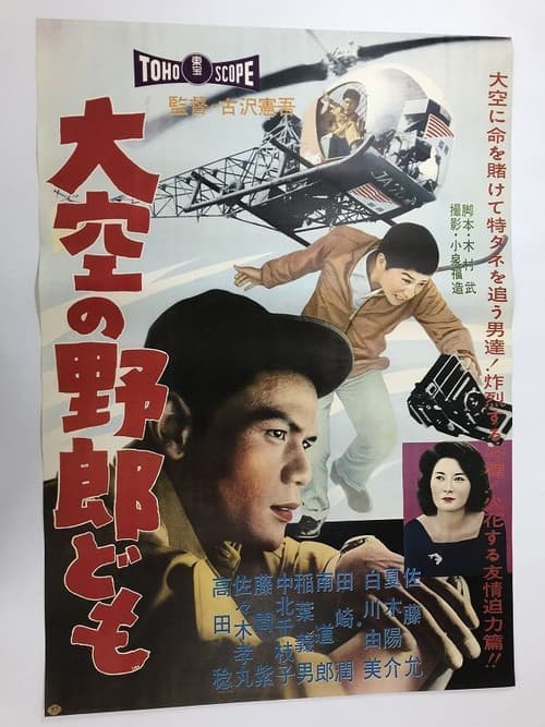 Reporters from the Sky poster