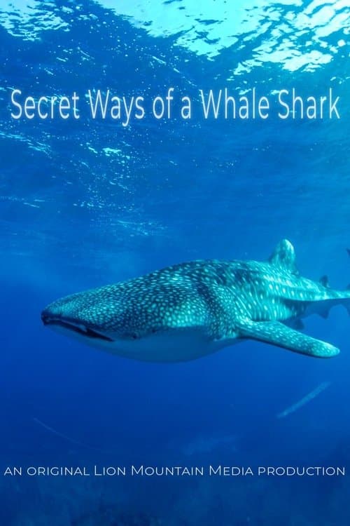 Le long voyage d'un requin-baleine