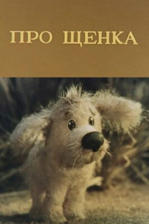 About a Puppy poster