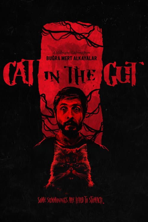Cat in the Gut poster