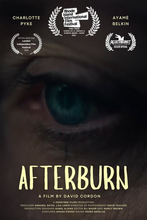 Afterburn poster