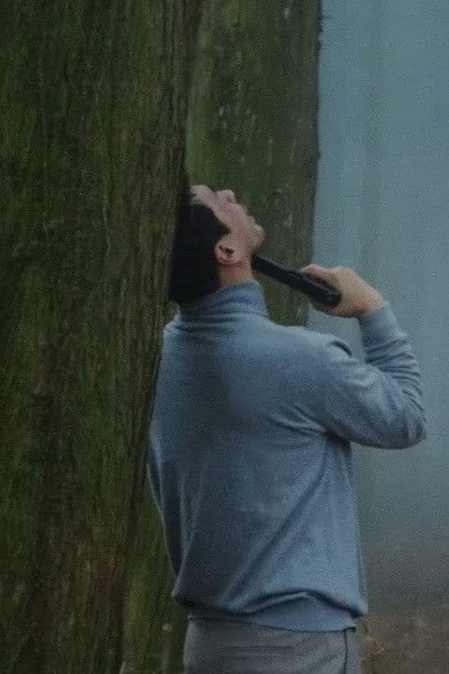 Man In The Fog poster