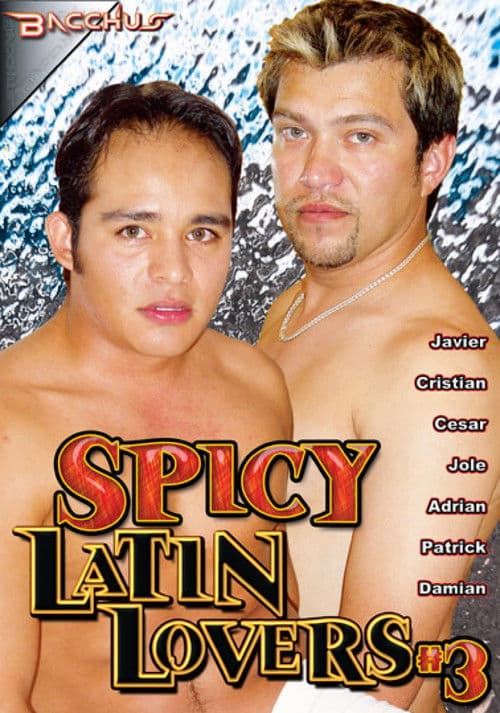 Spicy Latin Lovers 3 poster