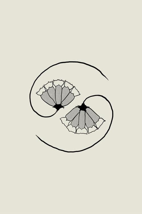 G_d’s Pee AT STATE’S END! poster