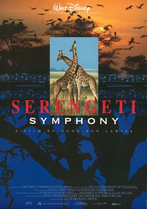 Serengeti Symphony poster