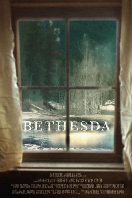 Bethesda poster