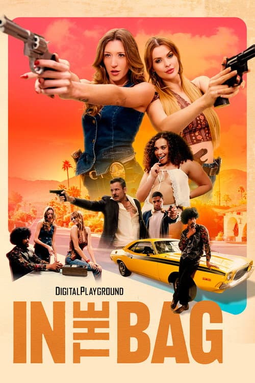 In the Bag poster