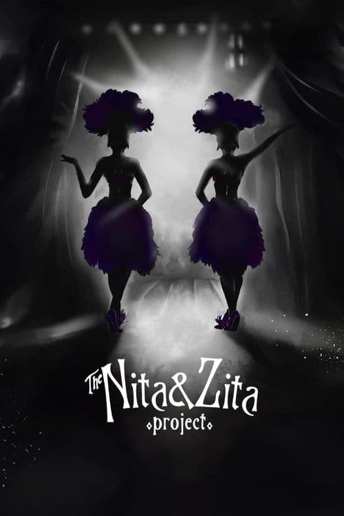 The Nita & Zita Project poster