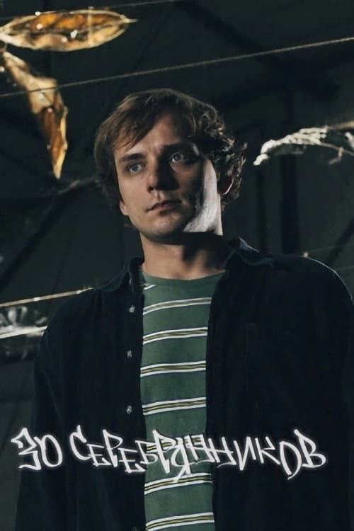 Вася Медведев: 30 серебрянников poster