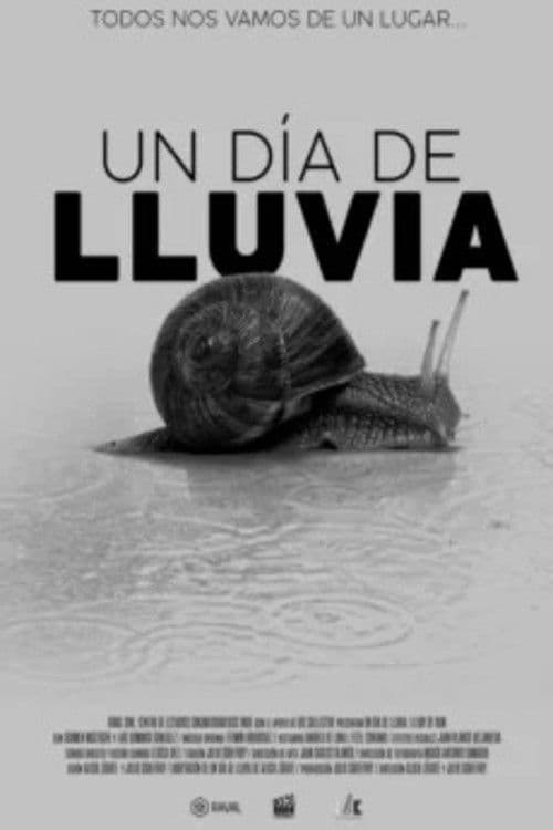Un día de lluvia poster