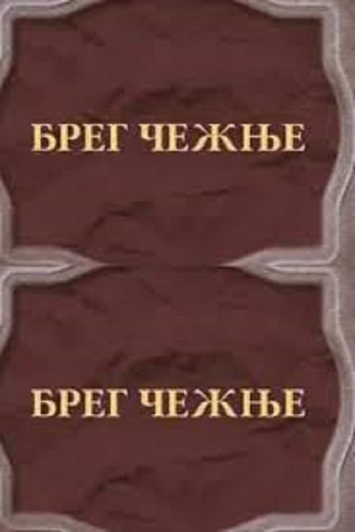 The Shore of Longing poster